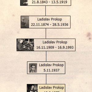 family tree Proko violin